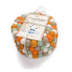 Pumpkin Patch Eco Coasters & Trivets